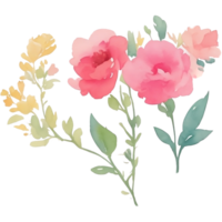 Watercolor flower pink bouquet png