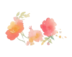 acquerello fiore rosa mazzo png