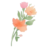 vattenfärg blomma rosa bukett png