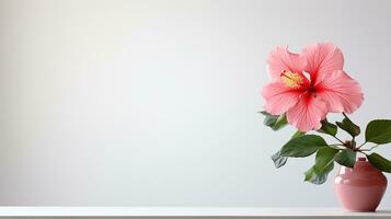 foto de hibisco flor en maceta aislado en blanco antecedentes. generativo ai