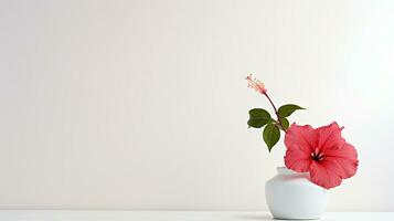 Photo of Hibiscus flower in pot isolated on white background. Generative AI