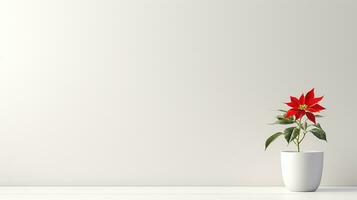 foto de acebo flor en maceta aislado en blanco antecedentes. generativo ai