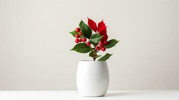 Photo of Holly flower in pot isolated on white background. Generative AI