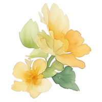 gul blomma akvarell png