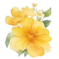 aquarelle fleur jaune png