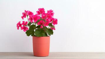 Photo of Geranium flower in pot isolated on white background. Generative AI