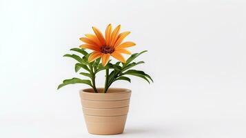 foto de gazania flor en maceta aislado en blanco antecedentes. generativo ai