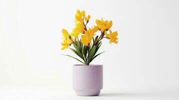 Photo of Freesia flower in pot isolated on white background. Generative AI