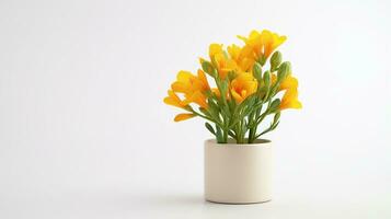 Photo of Freesia flower in pot isolated on white background. Generative AI