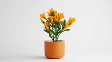 Photo of Freesia flower in pot isolated on white background. Generative AI