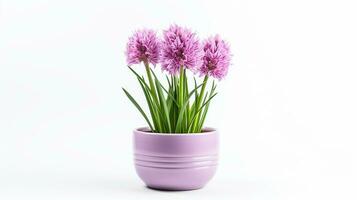 Photo of Flowering Onion flower in pot isolated on white background. Generative AI