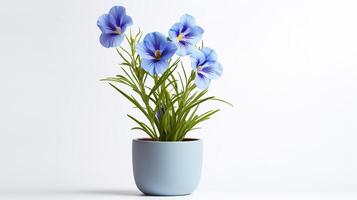 Photo of Flax flower in pot isolated on white background. Generative AI