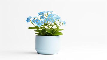 Photo of Fountain Grass flower in pot isolated on white background. Generative AI