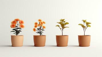 Photo of Four  flower in pot isolated on white background. Generative AI