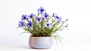 Photo of Flax flower in pot isolated on white background. Generative AI