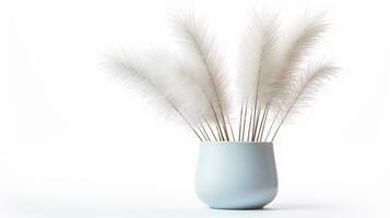 Photo of Feather Reed Grass flower in pot isolated on white background. Generative AI