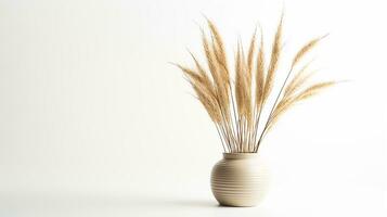 Photo of Feather Reed Grass flower in pot isolated on white background. Generative AI