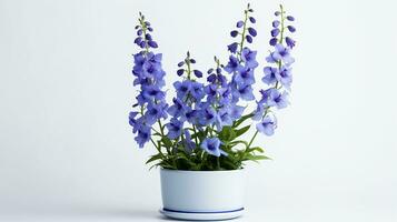 Photo of Delphinium flower in pot isolated on white background. Generative AI