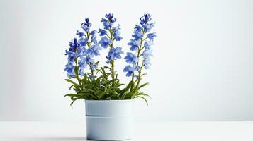 Photo of Delphinium flower in pot isolated on white background. Generative AI