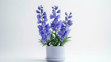 Photo of Delphinium flower in pot isolated on white background. Generative AI