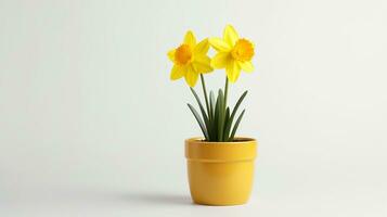 Photo of Daffodil flower in pot isolated on white background. Generative AI