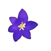 waterverf bloem hoofd klem kunst png