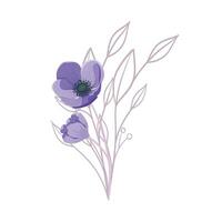 Vector detailed drawing of spring iris flowers and buds.
