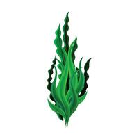 vector de ilustración de dibujos animados de símbolo de planta de algas