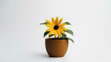 Photo of Black-Eyed Susan flower in pot isolated on white background. Generative AI