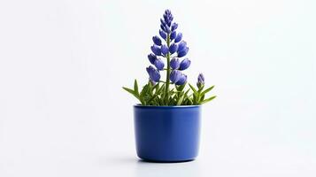 Photo of Bluebonnet flower in pot isolated on white background. Generative AI