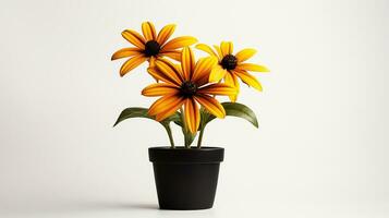 Photo of Black-Eyed Susan flower in pot isolated on white background. Generative AI