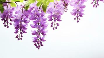 Photo of beautiful Wisteria flower isolated on white background. Generative AI