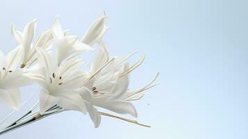 Photo of beautiful Yucca flower isolated on white background. Generative AI