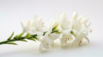 Photo of beautiful Yucca flower isolated on white background. Generative AI