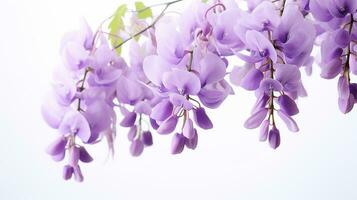 Photo of beautiful Wisteria flower isolated on white background. Generative AI