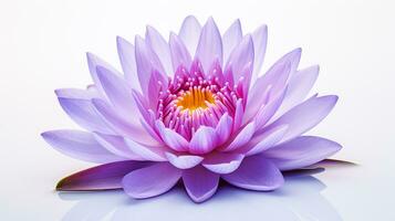 Photo of beautiful Water Lily flower isolated on white background. Generative AI