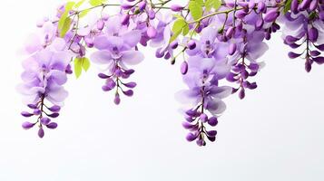 Photo of beautiful Wisteria flower isolated on white background. Generative AI