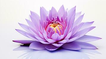 Photo of beautiful Water Lily flower isolated on white background. Generative AI