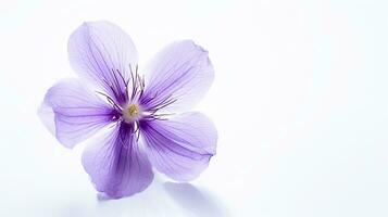 Photo of beautiful Violet flower isolated on white background. Generative AI