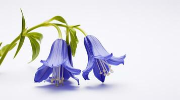 Photo of beautiful Virginia Bluebell flower isolated on white background. Generative AI