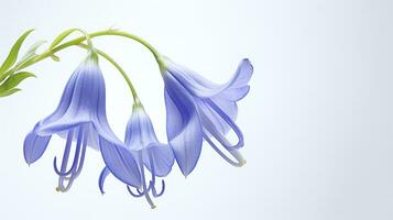 Photo of beautiful Virginia Bluebell flower isolated on white background. Generative AI