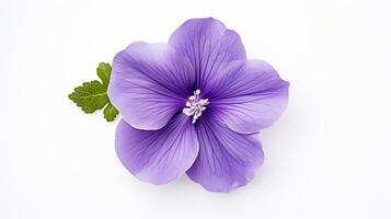 Photo of beautiful Violet flower isolated on white background. Generative AI