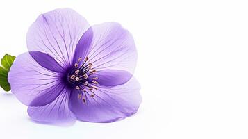 foto de hermosa Violeta flor aislado en blanco antecedentes. generativo ai