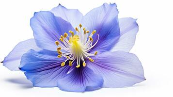 Photo of beautiful Tweedia flower isolated on white background. Generative AI