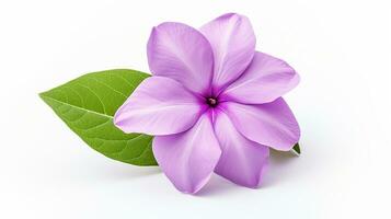 Photo of beautiful Vinca flower isolated on white background. Generative AI