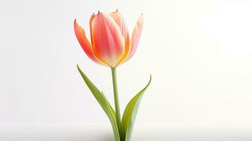Photo of beautiful Tulip flower isolated on white background. Generative AI
