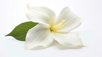 Photo of beautiful Trillium flower isolated on white background. Generative AI