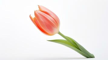 foto de hermosa tulipán flor aislado en blanco antecedentes. generativo ai