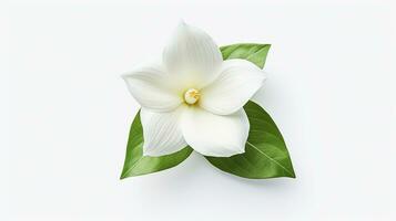 Photo of beautiful Trillium flower isolated on white background. Generative AI