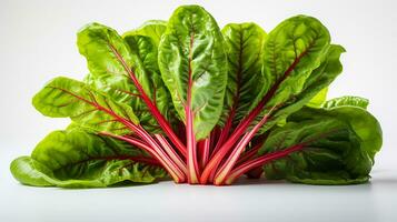 Photo of beautiful Swiss Chard flower isolated on white background. Generative AI